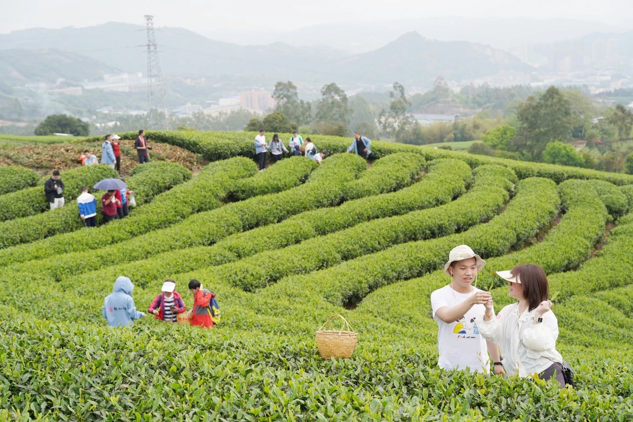 a4b931b617a73a64eb165eeacf9c6e0d.jpg a4b931b617a73a64eb165eeacf9c6e0d.jpg